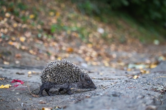 员职业生涯 员职业生涯