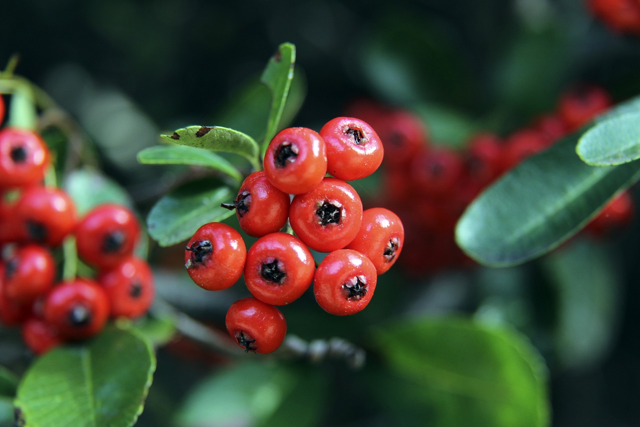 对任何一个 对任何一个