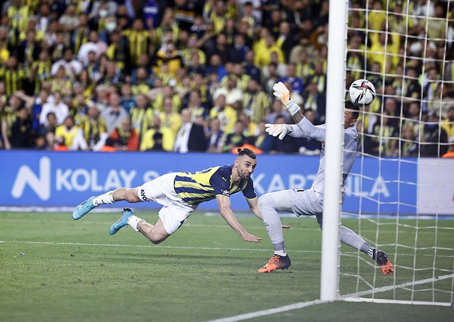 部的收入 部的收入