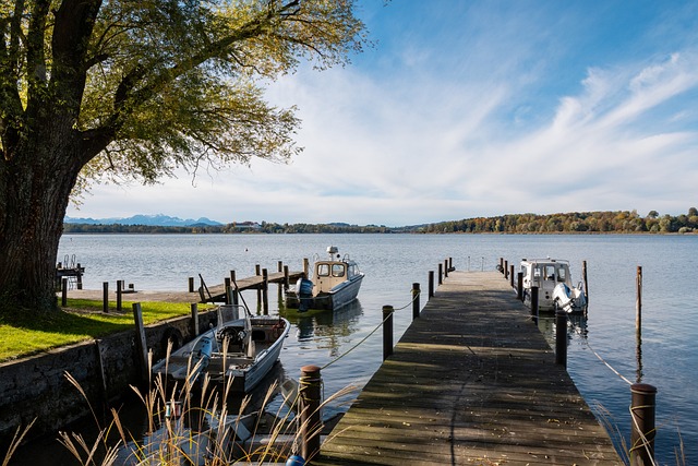 雄狮的财务 雄狮的财务