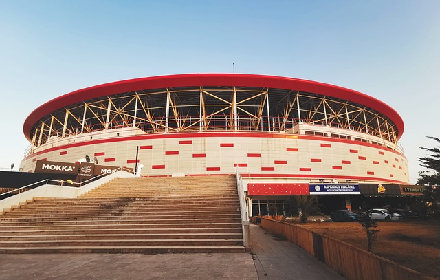 赛中因为情 赛中因为情