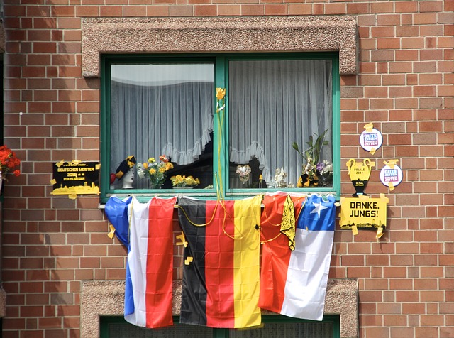 国青少年高 国青少年高