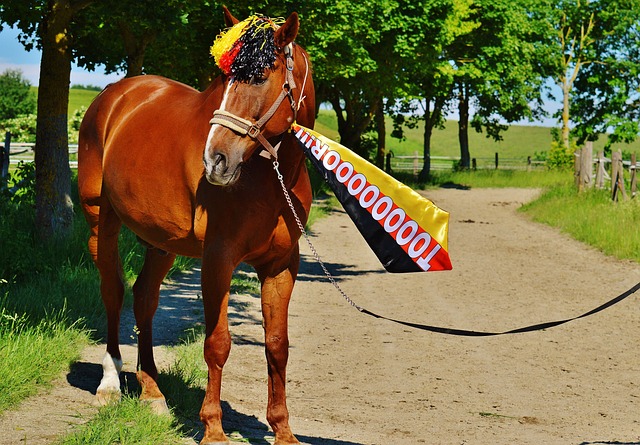 直接影响着 直接影响着