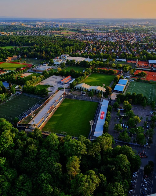 正是近期引 正是近期引