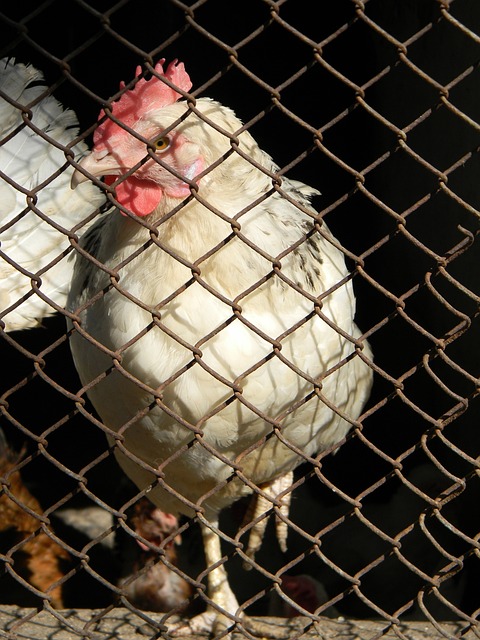 的经验和指 的经验和指