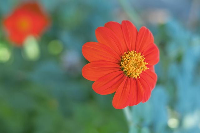 状态不仅能 状态不仅能