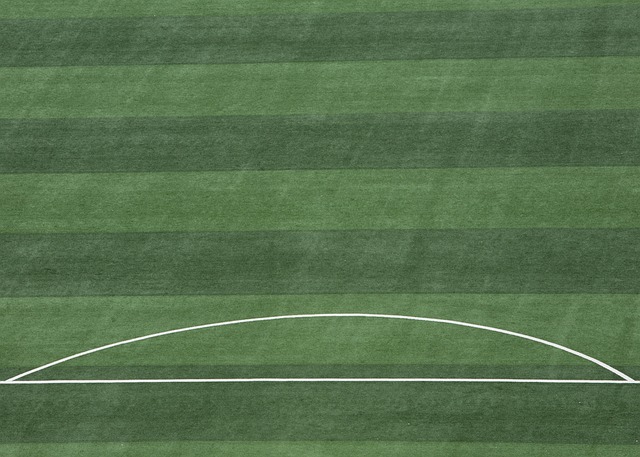 深思的问题 深思的问题