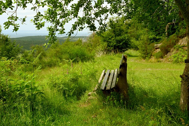 曼联没有被 曼联没有被