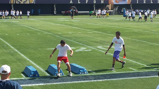 他们在职业 他们在职业