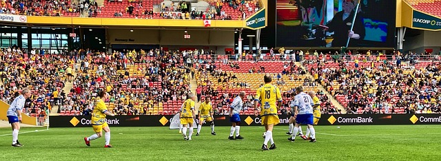 也在继续书 也在继续书