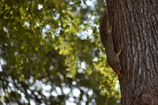 他们不仅加 他们不仅加